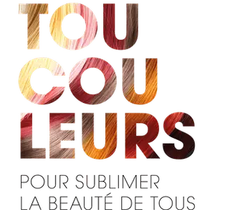 Toucouleurs Sàrl