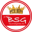 BSG Haushaltgeräte AG