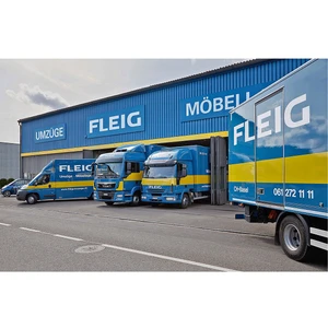 Fleig AG