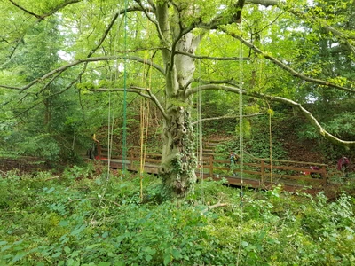 Ein gut eingespieltes Team ist unsere Stärke, um Ihrem Baum eine würdig und fachliche Pflege zu gewährleisten