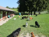 Tierferienheim Gredig – Cliquez pour agrandir l’image 4 dans une Lightbox