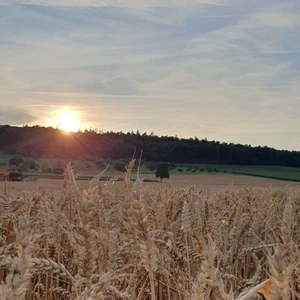 AGRO-Treuhand Region Zürich AG