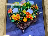 Blumen Petermann - cliccare per ingrandire l’immagine 7 in una lightbox