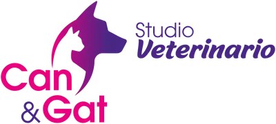 Studio veterinario Can e Gat