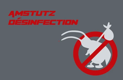 Amstutz Désinfection