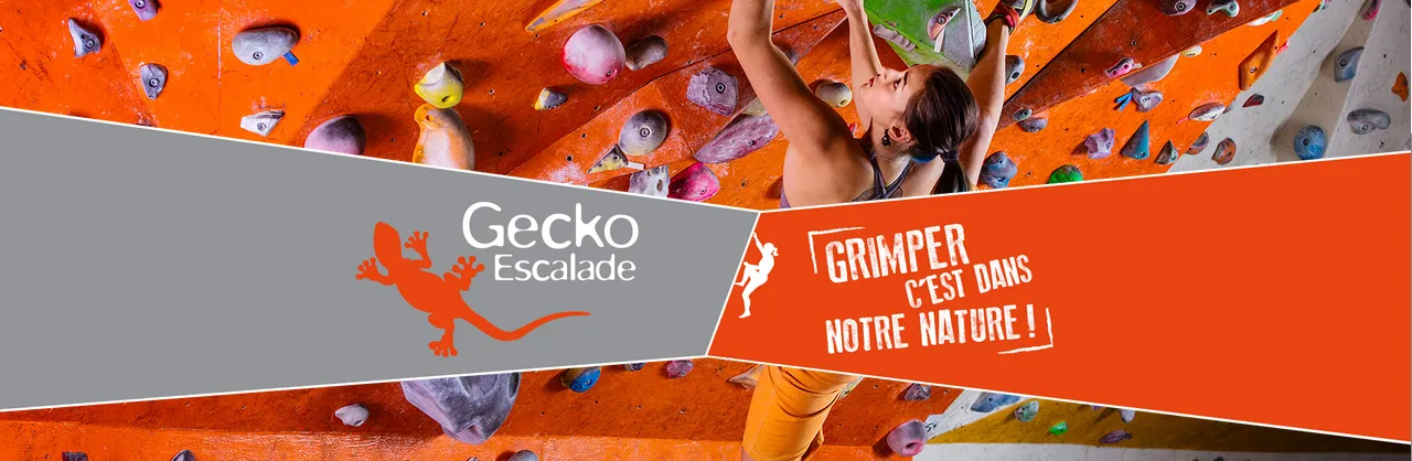 Gecko escalade Sàrl