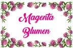 Magenta Blumen - Kishta