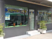 Stefansky Optik - cliccare per ingrandire l’immagine 4 in una lightbox