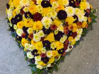 Blumen Petermann - cliccare per ingrandire l’immagine 9 in una lightbox