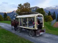 schuler-transporte.ch gmbh - Klicken Sie, um das Bild 1 in einer Lightbox vergrössert darzustellen