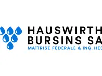 Hauswirth Bursins SA – click to enlarge the image 1 in a lightbox