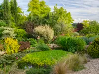 Daepp Gartenpflanzen - Klicken Sie, um das Bild 6 in einer Lightbox vergrössert darzustellen