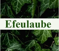 Logo Blumengeschäft Efeulaube