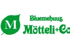 Bluemehuus Mötteli + Co