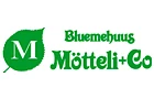 Bluemehuus Mötteli + Co. logo