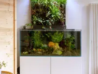 Aquarium-Bassin SARL – Cliquez pour agrandir l’image 13 dans une Lightbox