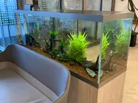 Aquarium-Bassin SARL – Cliquez pour agrandir l’image 4 dans une Lightbox