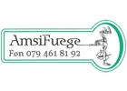 Logo Amsi AG