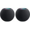 Apple HomePod Mini Gray Duo Pack