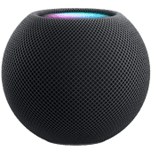 Apple HomePod Mini Gray Smart home hub