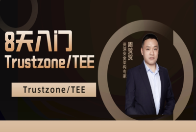 8天入门Trustzone/TEE/安全