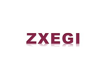 ZXEGI 半身裙