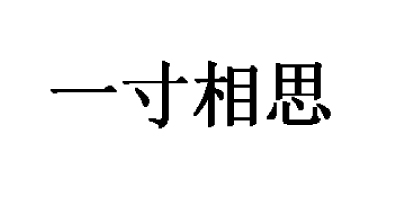 一寸相思 女士T恤