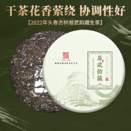 茶者（chazhe）2022年普洱茶生茶韵藏七子饼茶叶 2022年 易武韵藏 357克 * 1片