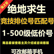 绝地求生吃鸡pubg账号小号购买1级400级成品皮肤小号竞技排位号 新手版