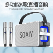 索爱（soaiy）K55 无线蓝牙音箱超重低音炮大功率立体声广场舞便携式无线户外K歌音响直播声卡 双麦珊瑚灰