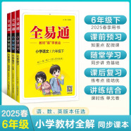 2025春新版全易通六年级上下册语文数学英语人教版部编版小学生课本同步辅导资料书课堂笔记基础阅读练习册教材习题详解 【六年级下册】数学（人教版）