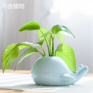 京卫家居水培陶瓷摆件 创意鲸鱼大象青瓷小花瓶 茶道花插时尚个性花器 鲸鱼-梅子青