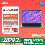 宏碁（acer）非凡Go青春 国家补贴20% 14英寸轻薄本 学生办公笔记本电脑 (13代酷睿i5-13500H 16G 1T 高色域)灰