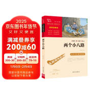 两个小八路 经典红色系列 小学四年级上册阅读（ 中小学课外阅读 无障碍阅读）少年励志爱国故事读本