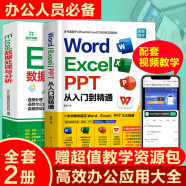 【规格任选】word excel ppt从入门到精通wps教程表格制作函数office书籍办公软件计算机应用基础知识自学书籍电脑入门办公软件自动化教程 【2册】word excel ppt+数据处理