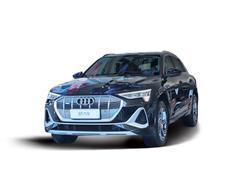 2021款 奥迪e-tron 50 quattro 臻选型