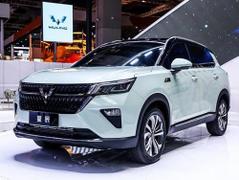 2022款 五菱星辰 2.0L DHT电劲款