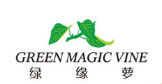 绿缘萝（GREEN MAGIC VINE）