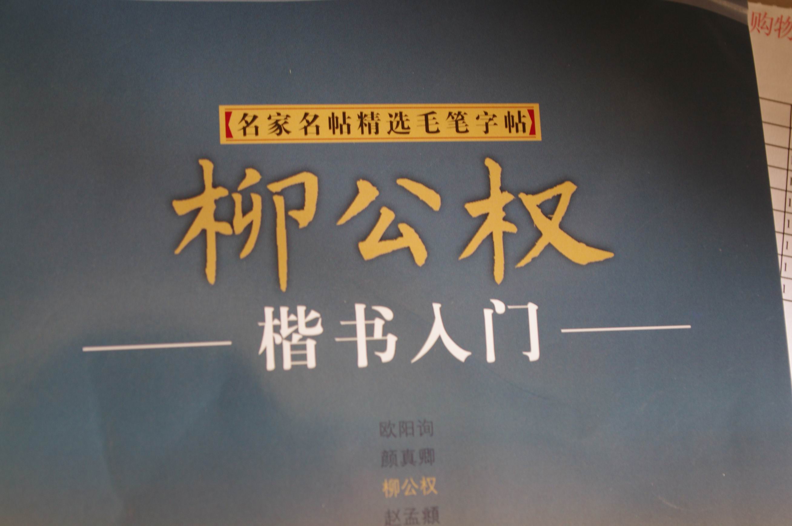 辞海版 小学生字典（双色本） 晒单实拍图