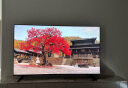 索尼（SONY）KD-75X80L 75英寸 智能 液晶 电视机 X1芯片 广色域4K HDR 液晶全面屏(X80K升级款) 以旧换新 75英寸 X80L（X80K升级款） 晒单实拍图