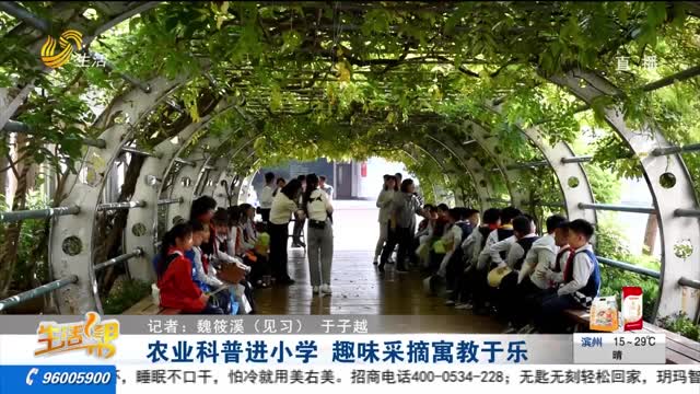 农业科普进小学 趣味采摘寓教于乐