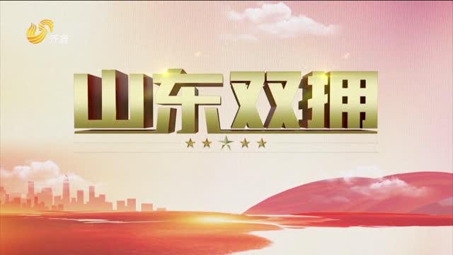 2024年01月14日《山东双拥》完整版