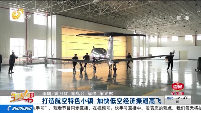 打造航空特色小镇 加快低空经济振翅高飞