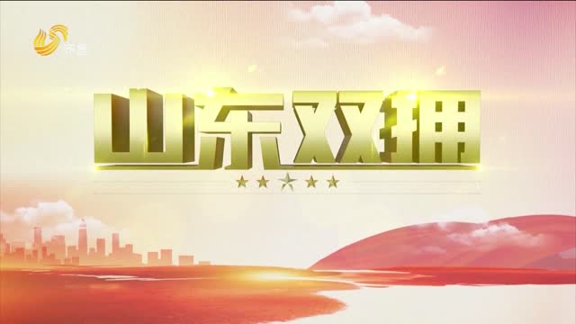 2024年01月21日《山东双拥》完整版