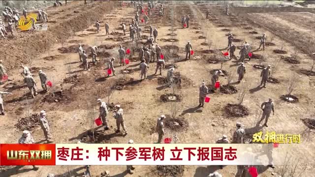 同植拥军树 共建双拥林