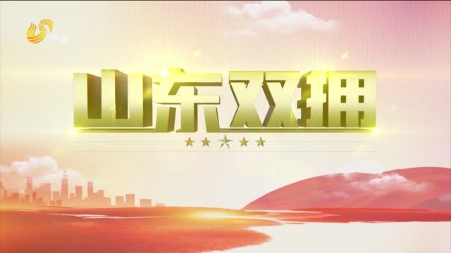 2024年03月17日《山东双拥》完整版