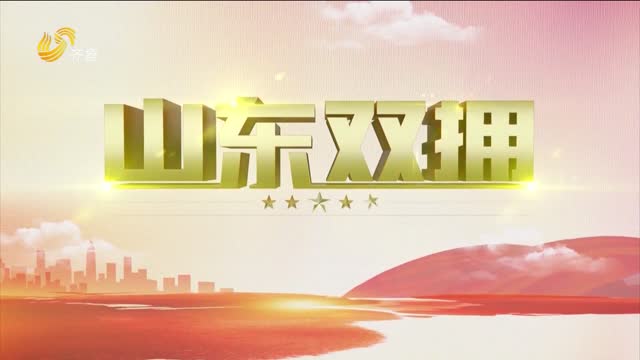 2024年04月14日《山东双拥》完整版