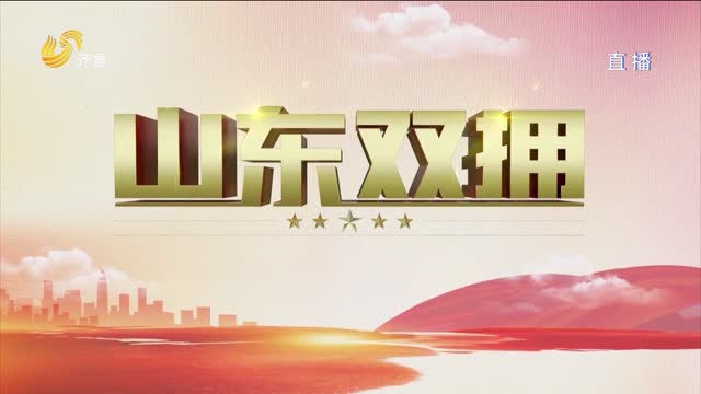 2024年04月21日《山东双拥》完整版