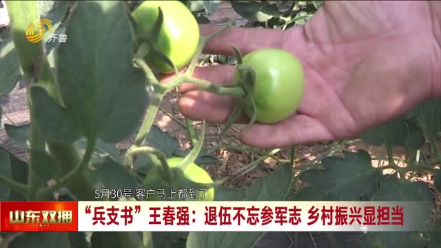 “兵支书”王春强：退伍不忘参军志 乡村振兴显担当