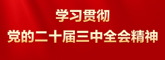 学习贯彻党的二十届三中全会精神